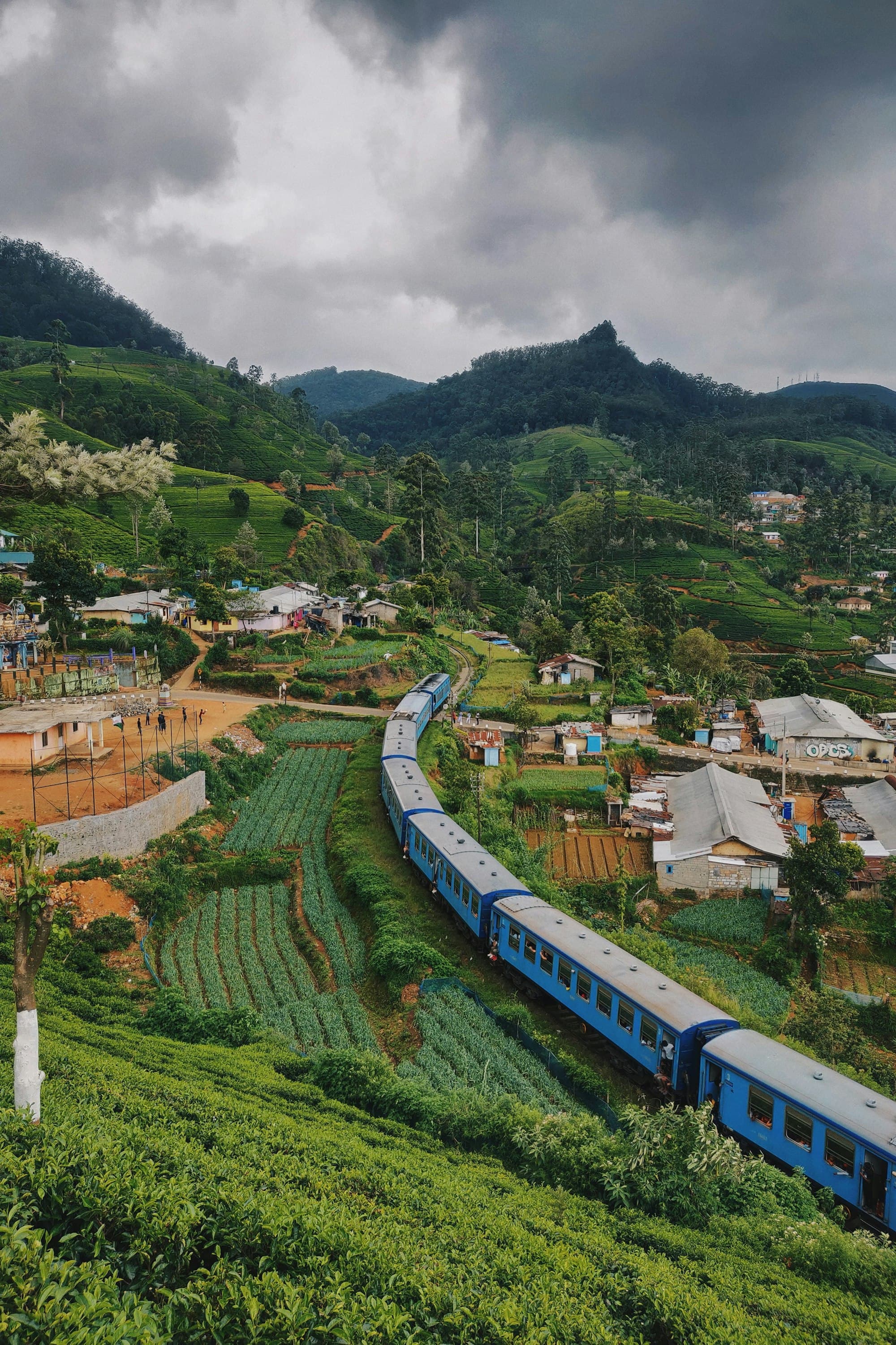 Tea country hills in Sri Lanka