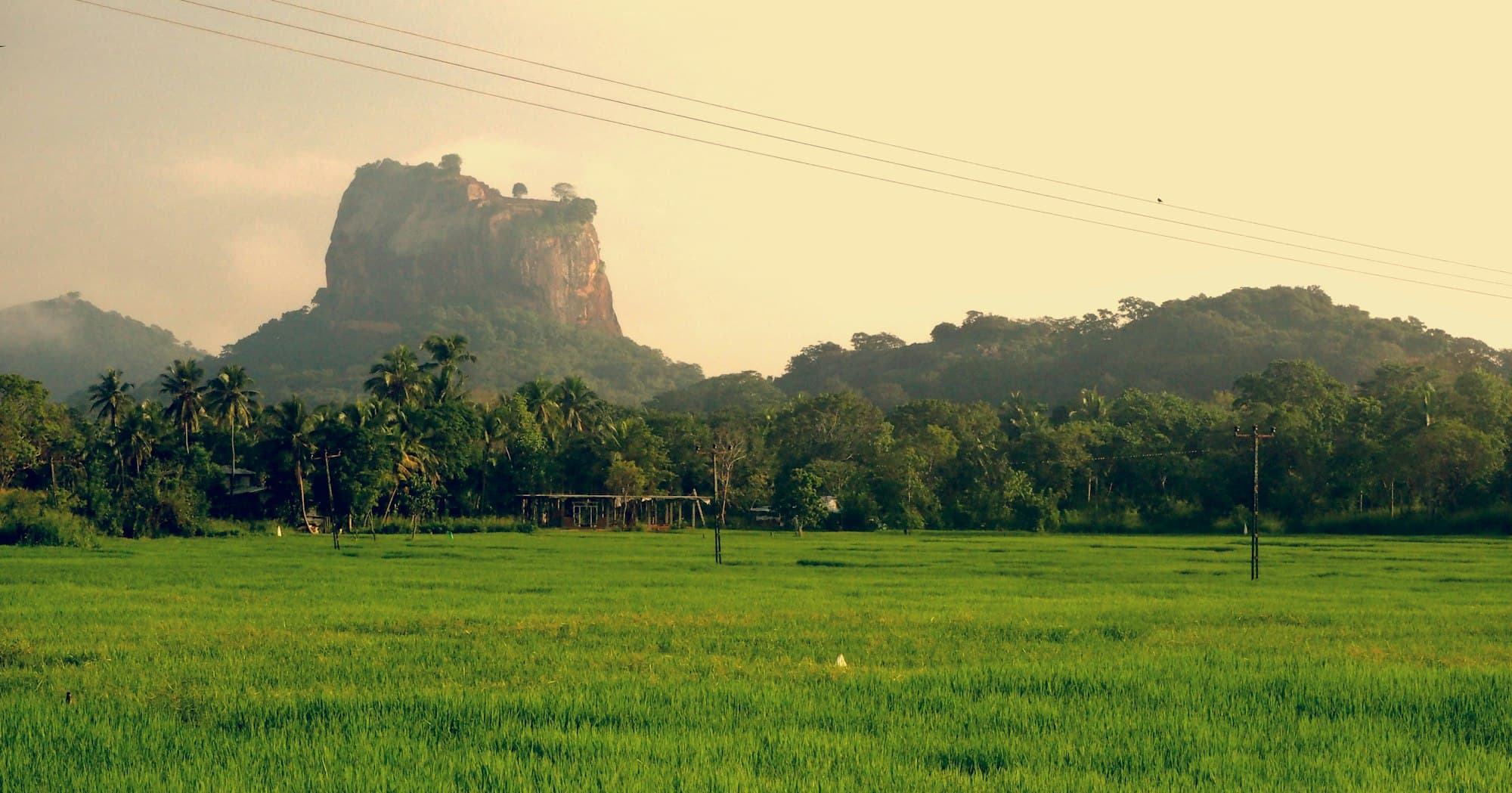 Highland tea country in Sri Lanka